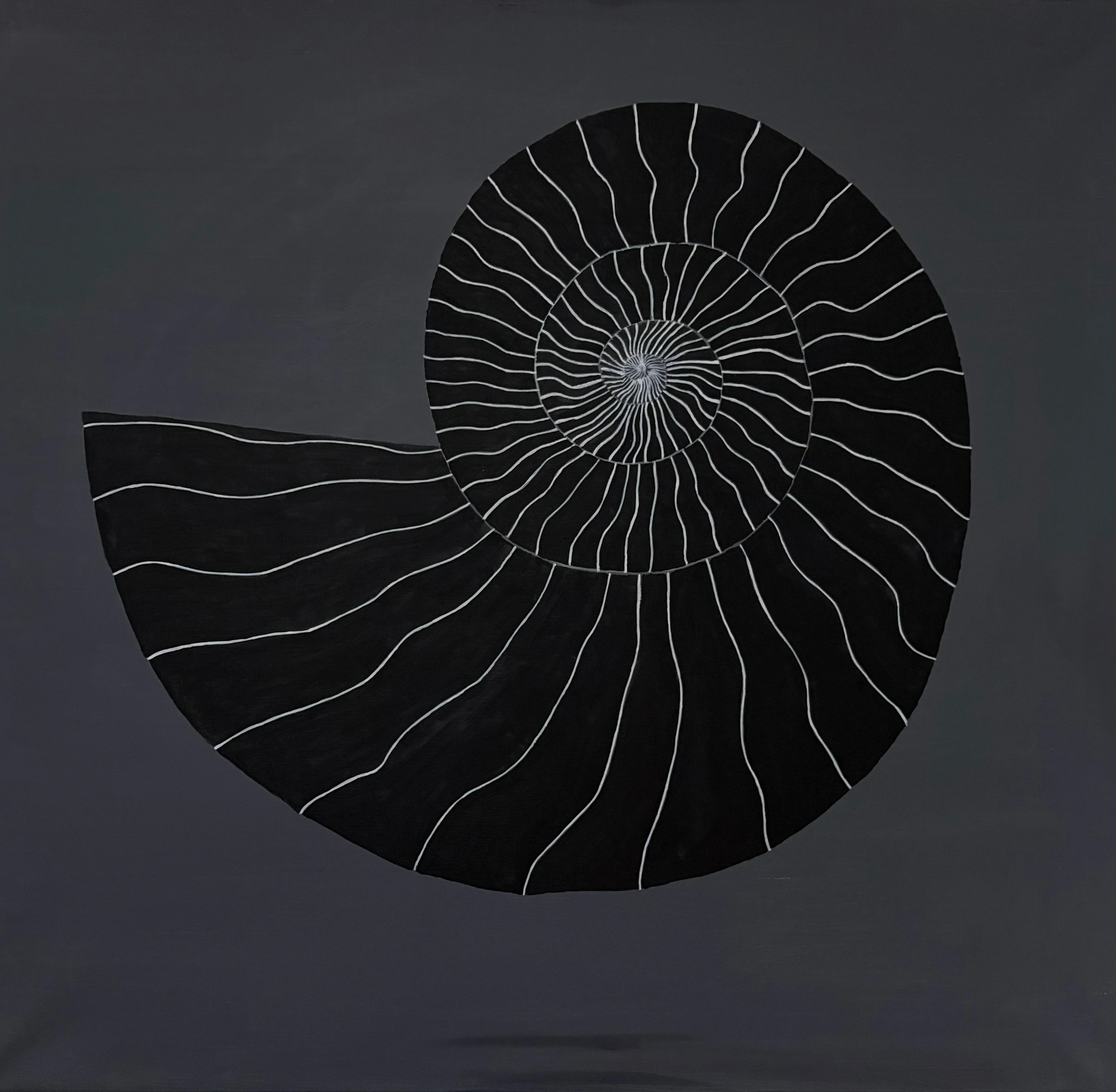 A dark spiral shell outlined with fine pale lines on a grey background.