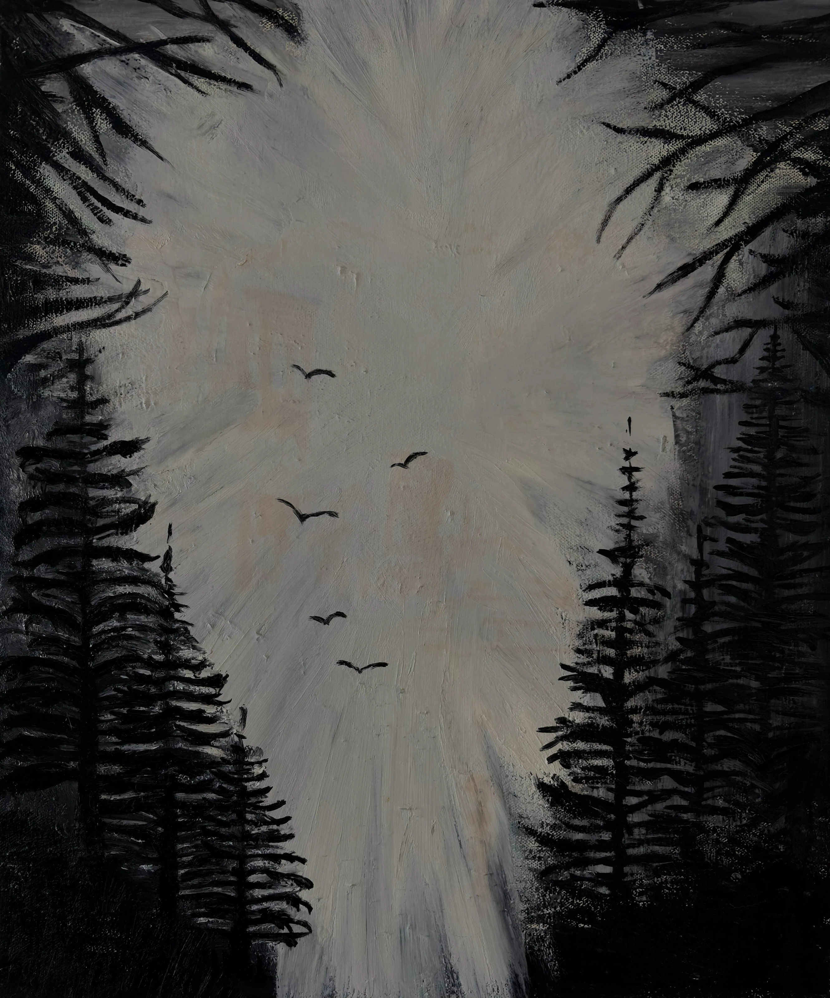 Dark conifers around a pale opening, with small birds across the sky.